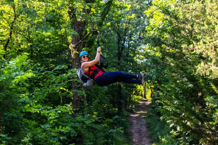 a man doing a trick on a tree