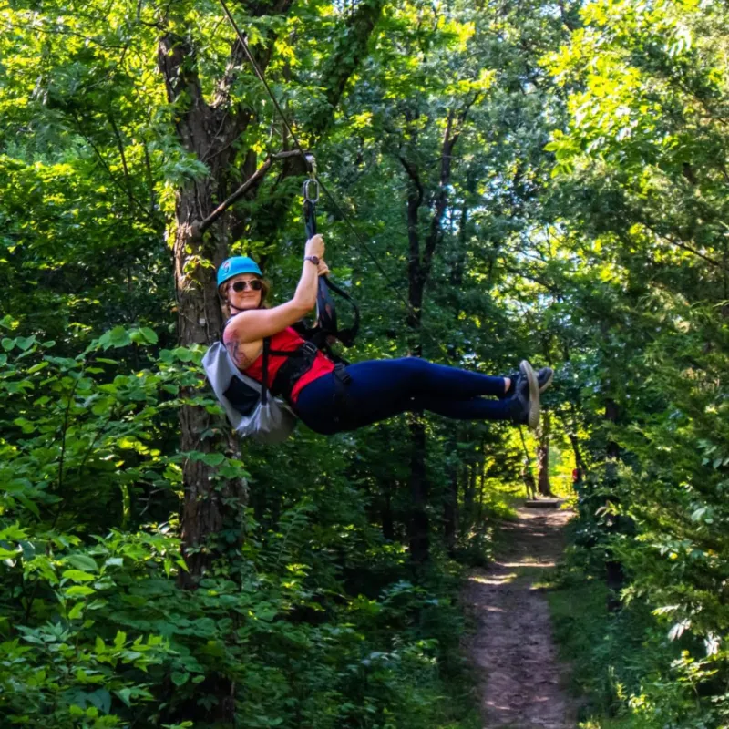 a man doing a trick on a tree